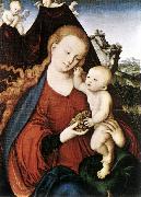 CRANACH, Lucas the Elder, Madonna and Child fgd142